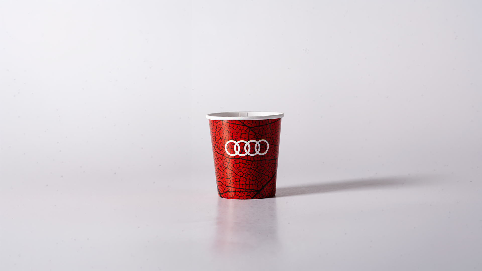 Case Audi × Pluspack